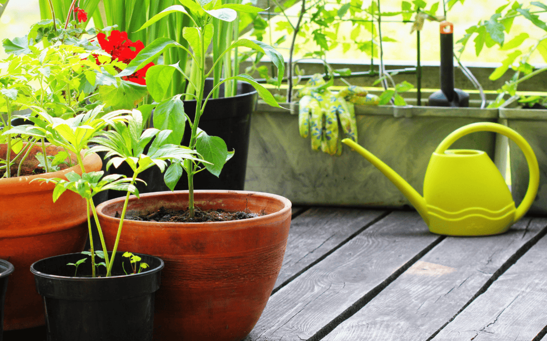 Mental Health Benefits of Gardening