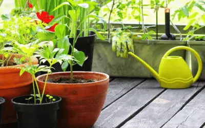 Mental Health Benefits of Gardening